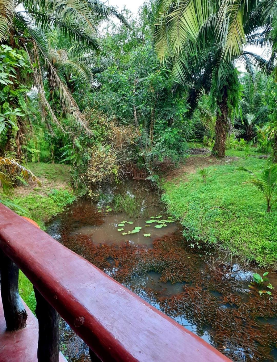 Tuaprodhome Khao Lak Camera foto