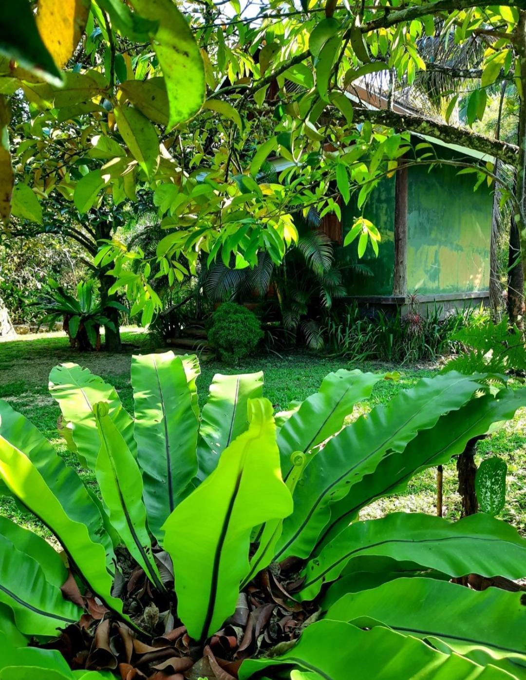 Tuaprodhome Khao Lak Camera foto